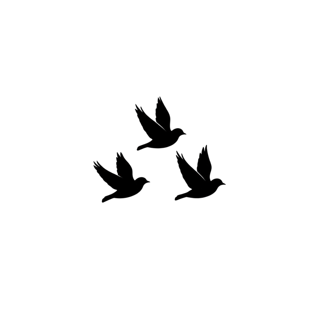 Covy logo